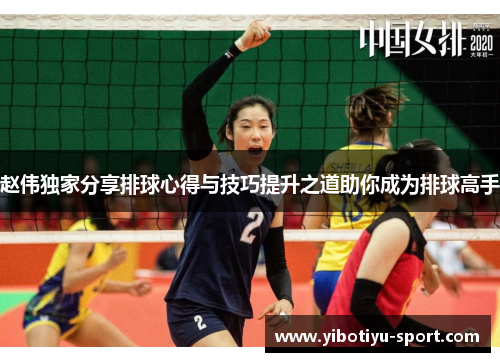 赵伟独家分享排球心得与技巧提升之道助你成为排球高手